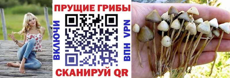 Галлюциногенные грибы мухоморы  Пенза 