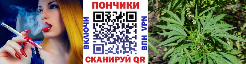 Конопля планчик  хочу наркоту  Пенза 